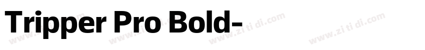 Tripper Pro Bold字体转换